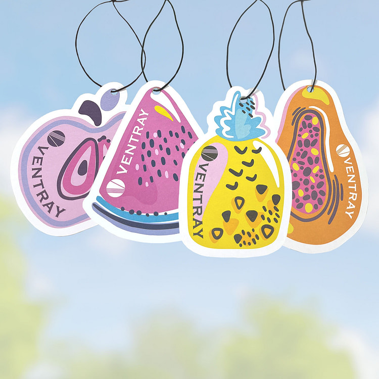 Ventray Car Ornament Hanging set, Customized fragrance Car Freshies