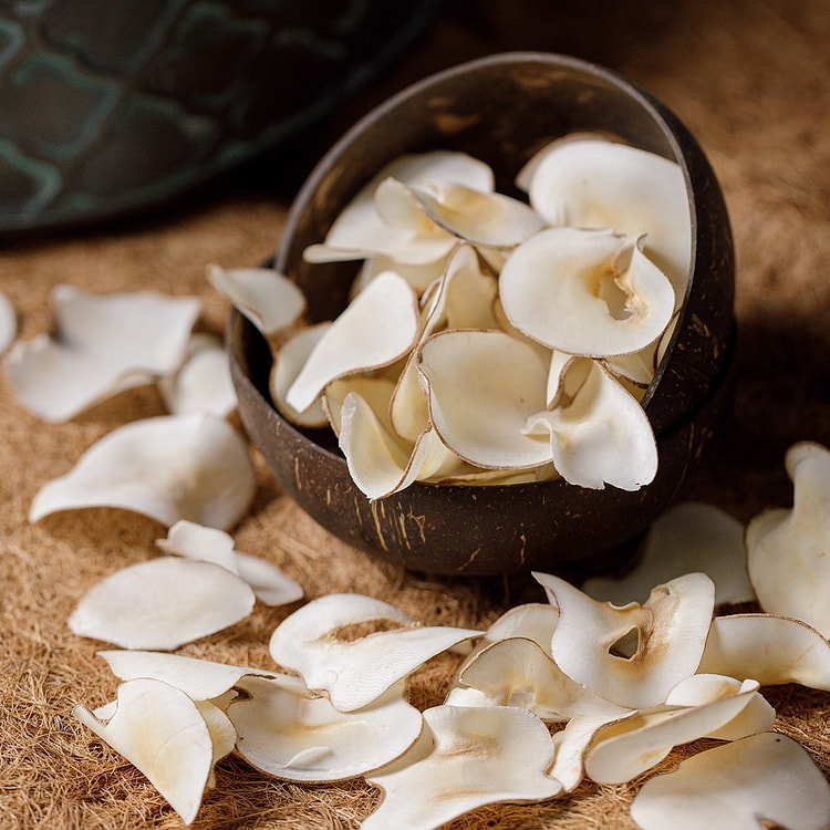 原色海底椰100g棕榈海底耶海椰子椰片干货煲汤材料 100 克