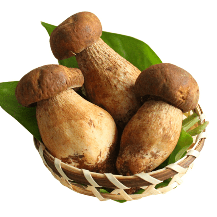 Dried Porcini Mushrooms 2 온스