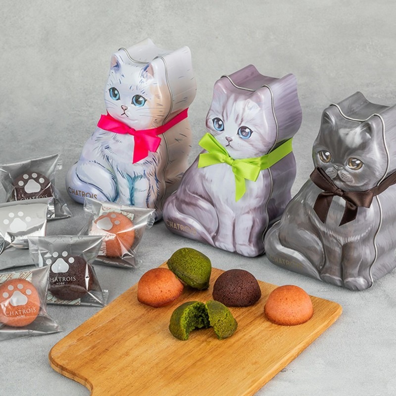 Get Cute Cat Fernandez Chocolate Cocoa Flavor 5 Pieces Delivered