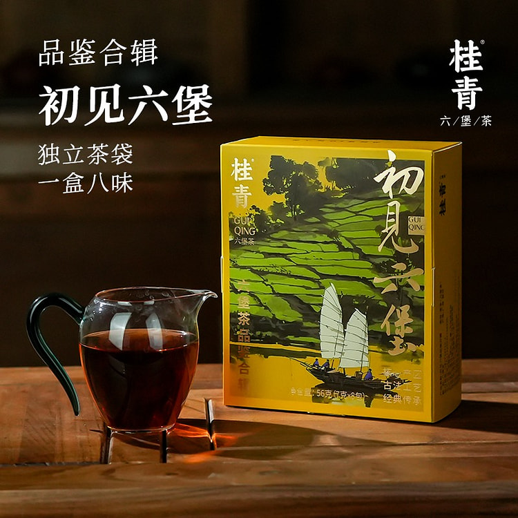 六堡茶品鉴合集 初见六堡 梧州黑茶茶叶 小师姐评茶