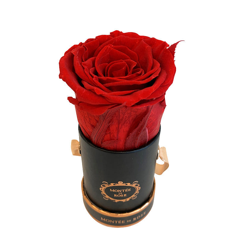 Black Mini Round Red 1 份