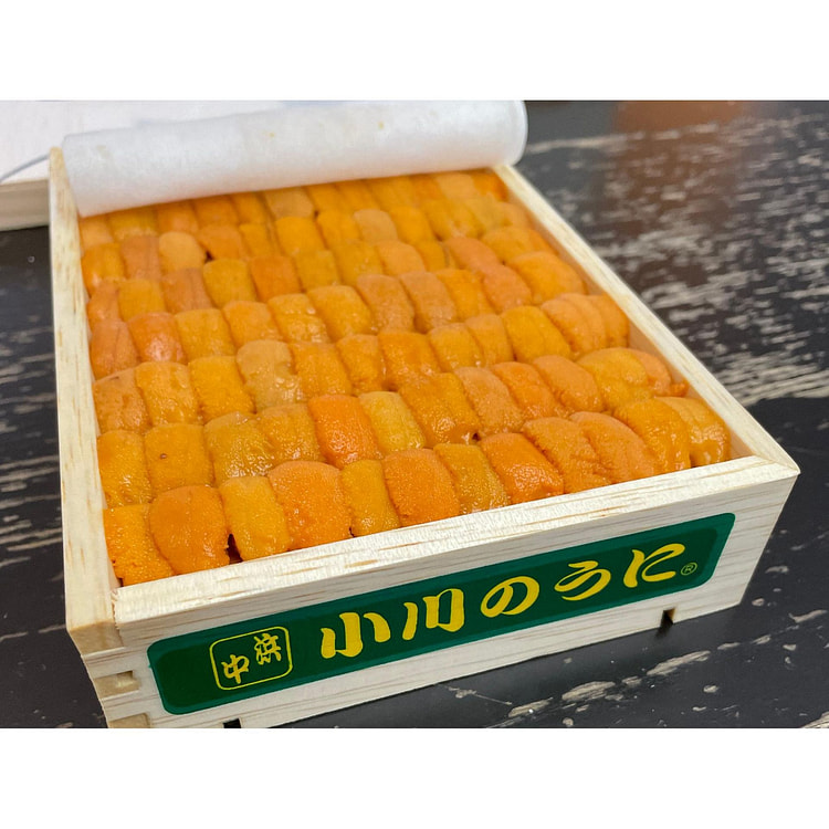 AAA Bafun Uni 海胆 Hamanaka 250g - 农场饲养
