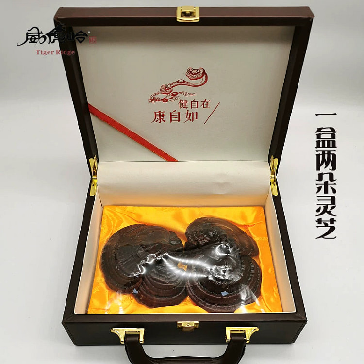 东北干灵芝100克2朵
