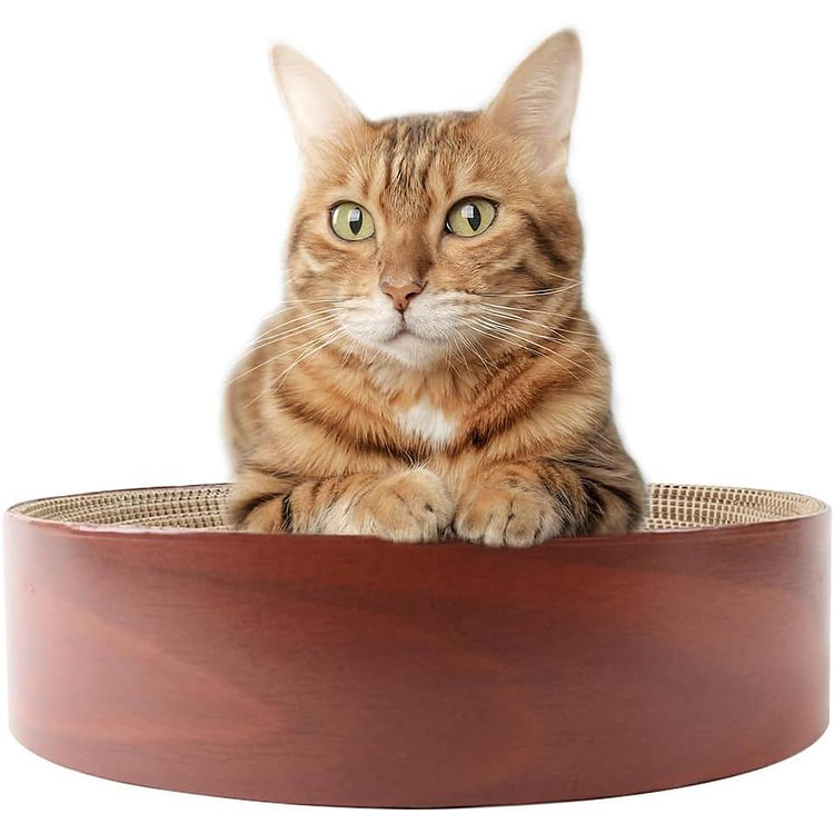 圆形猫抓板 1 个