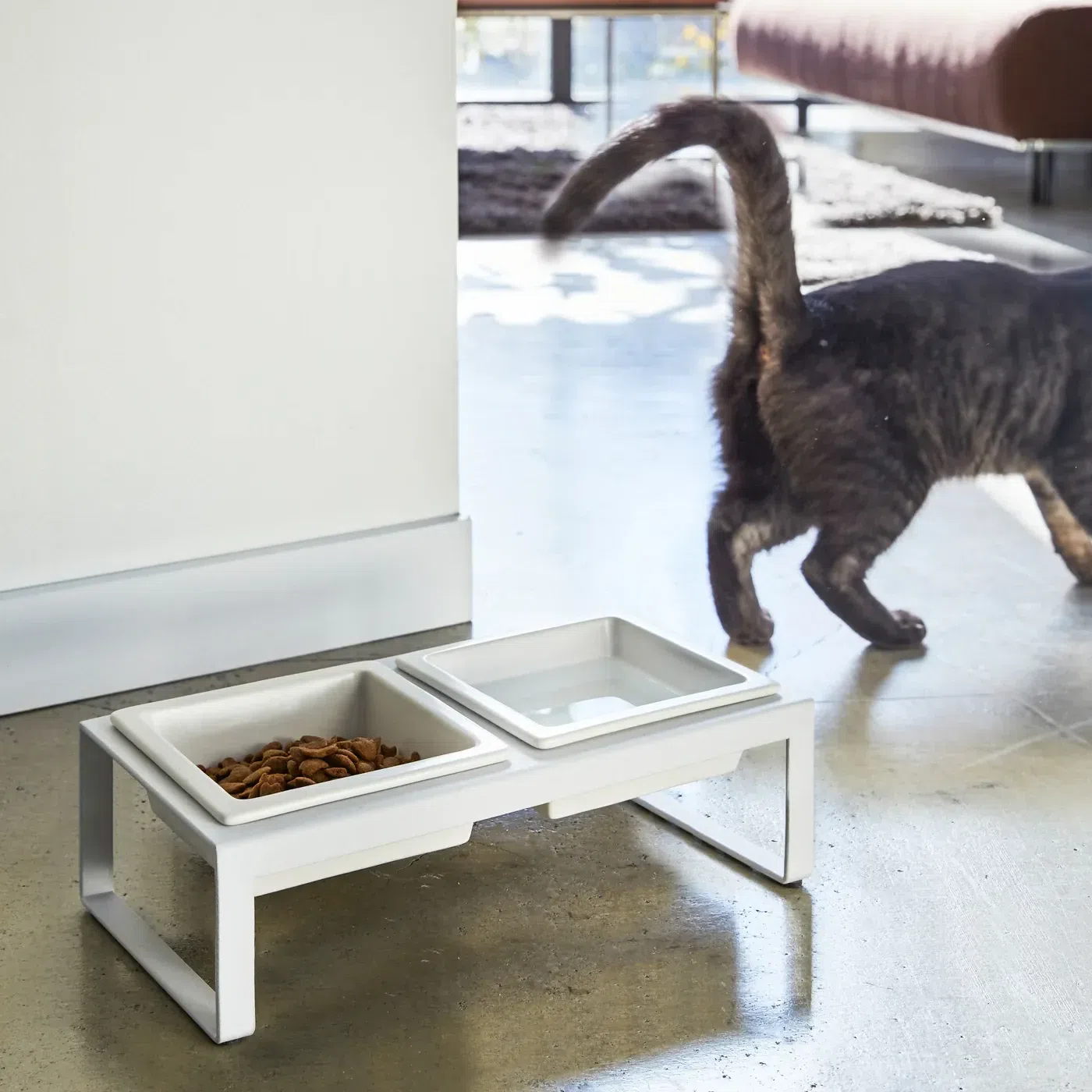 Pet Food Bowl Tall / White 1 個