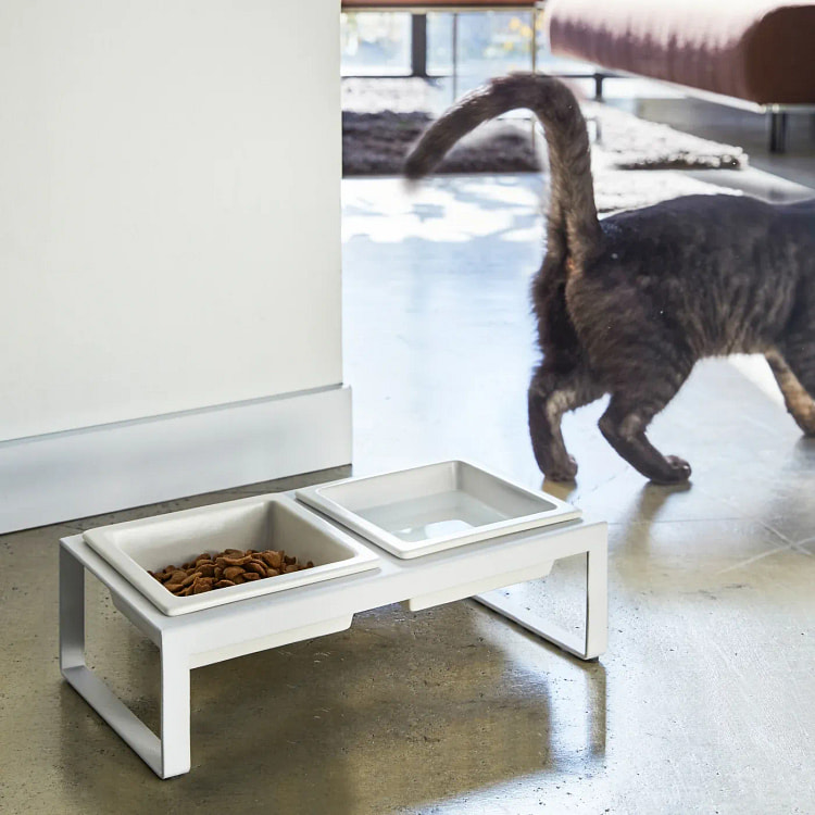 Pet Food Bowl Tall / White