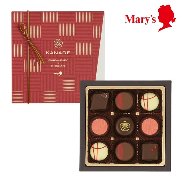 Mary's Japanese Strawberry Chocolate 9pcs 1 each