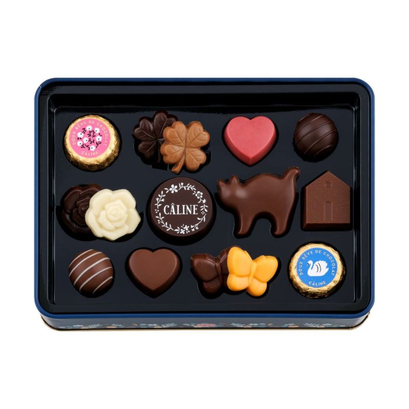 Get Morozoff Cat Moon Valentine's Chocolate 15pcs 1 each Delivered