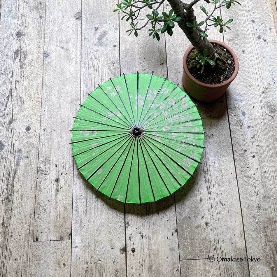 Japanese Paper Umbrella Green Small Plum Pattern 680 g