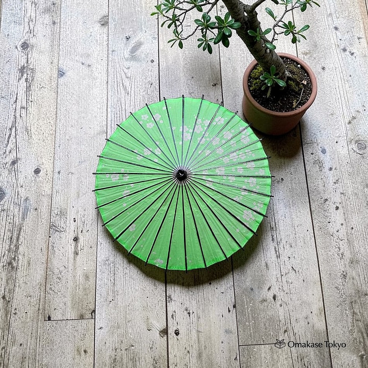 Japanese Paper Umbrella Green Small Plum Pattern 680 g