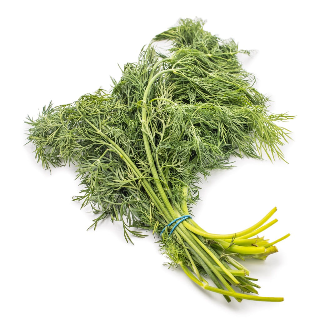 Baby Dill 1 bunch