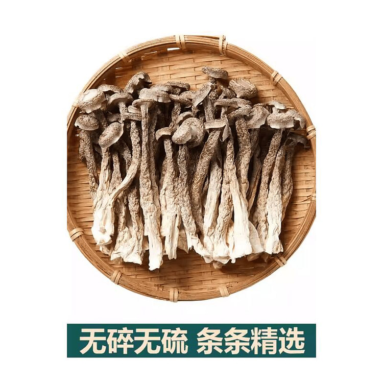 新鲜鹿茸菇干货鹿茸菌云南特产煲汤250克*1袋 250 克