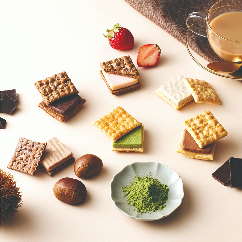 【ショコラ・シナモン】 シナモンショコラ (Cinnamon Chocolat) | 競走馬データ - netkeiba