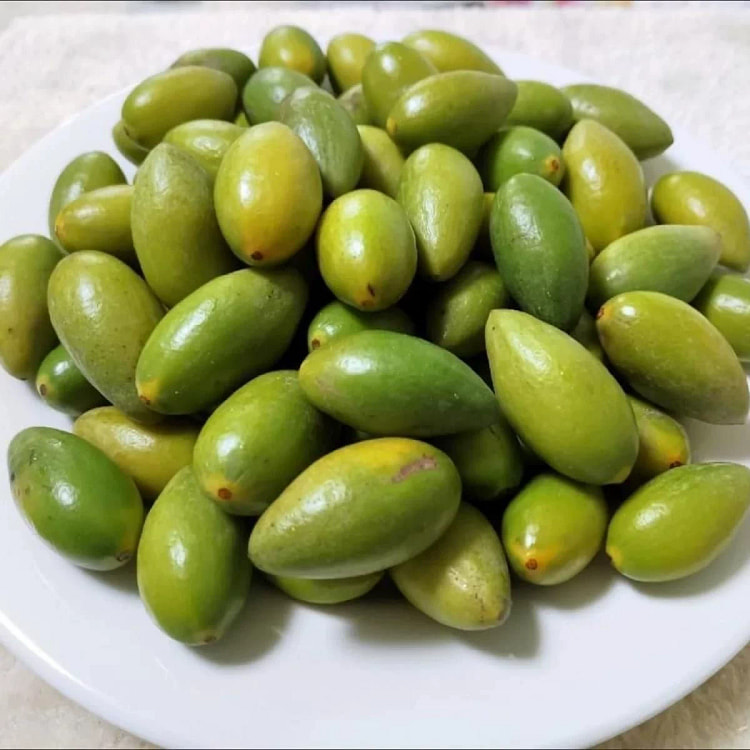 甘草橄榄250*1 250 克