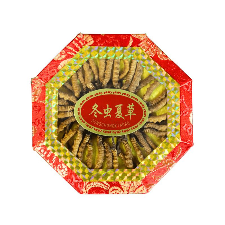 九龍堂 野生冬虫夏草礼盒2800条规格约40条/盒 0.5 盎司