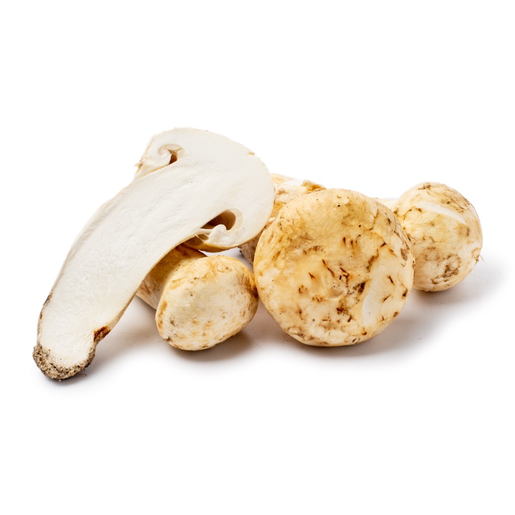 天然松茸 まつたけ マツタケ 0.5 ポンド - Weee!