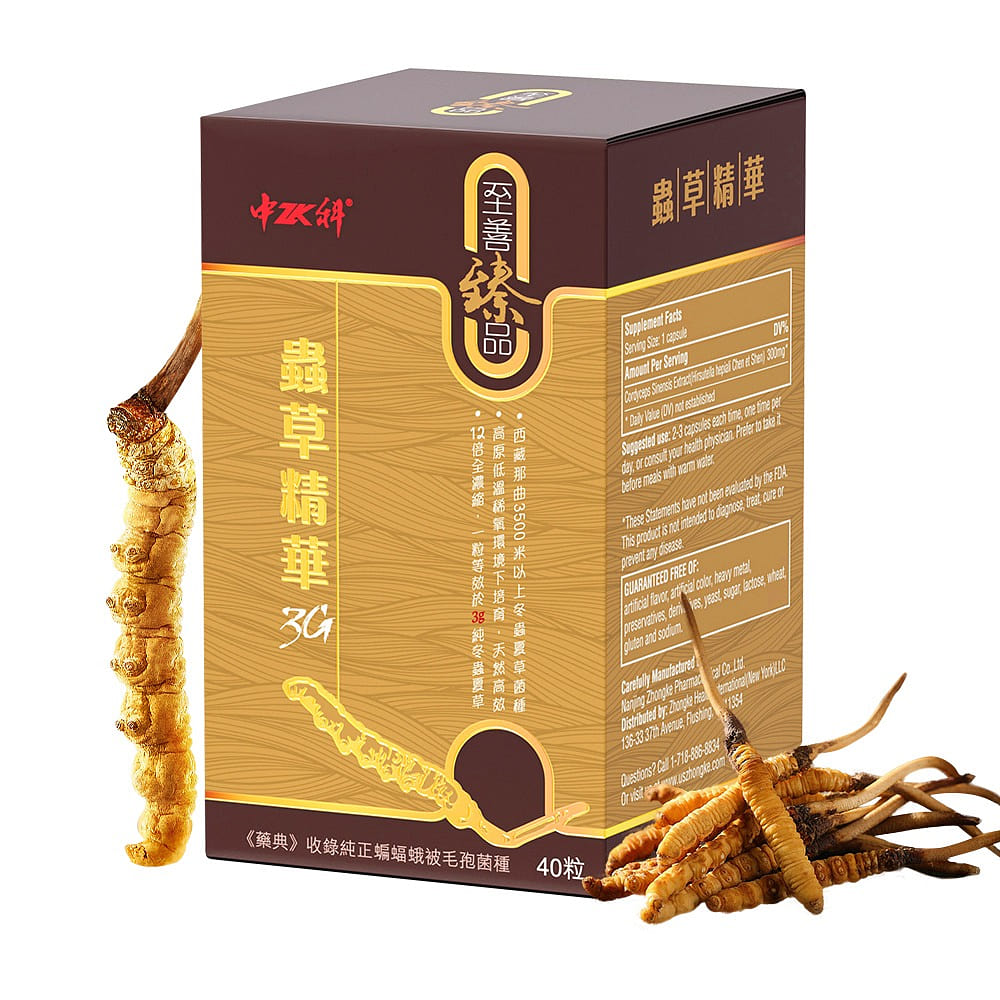 Sino-Sci Cordyceps 3G Capsule – Energy Booster 1 bottle