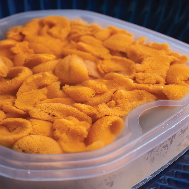 缅因盐水海胆 150 克