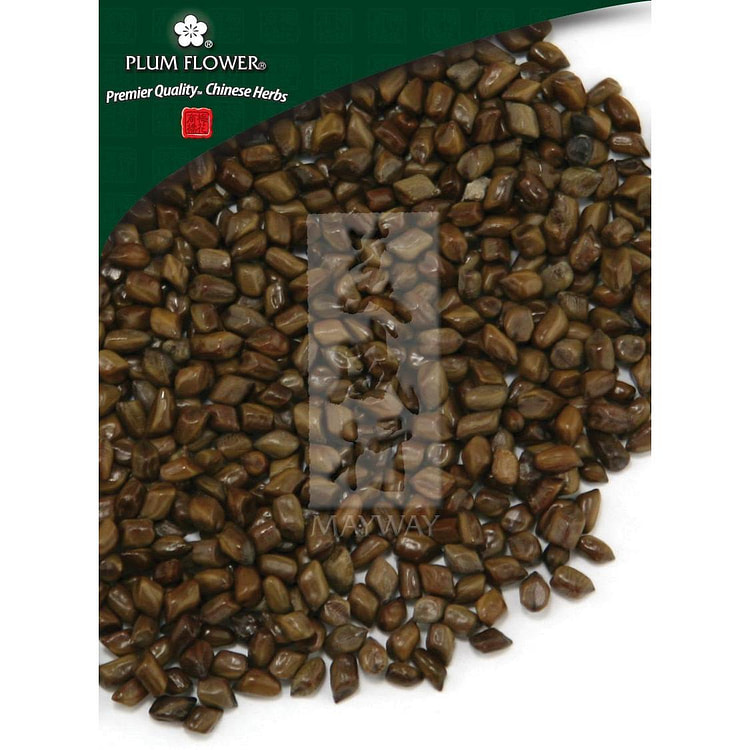 Jue Ming Zi, unsulfured Cassia obtusifolia seed