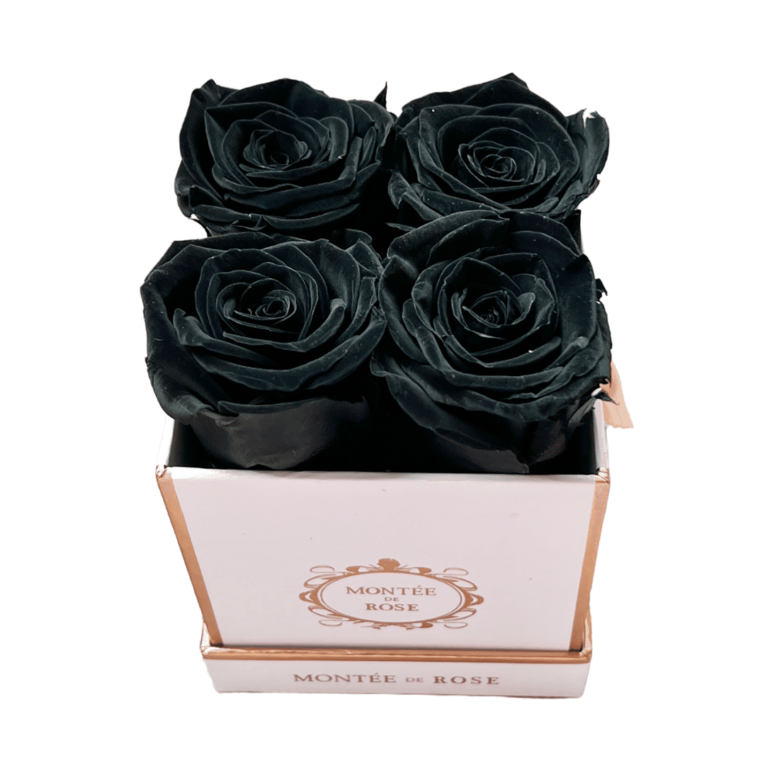 White Small Square Black 1 each