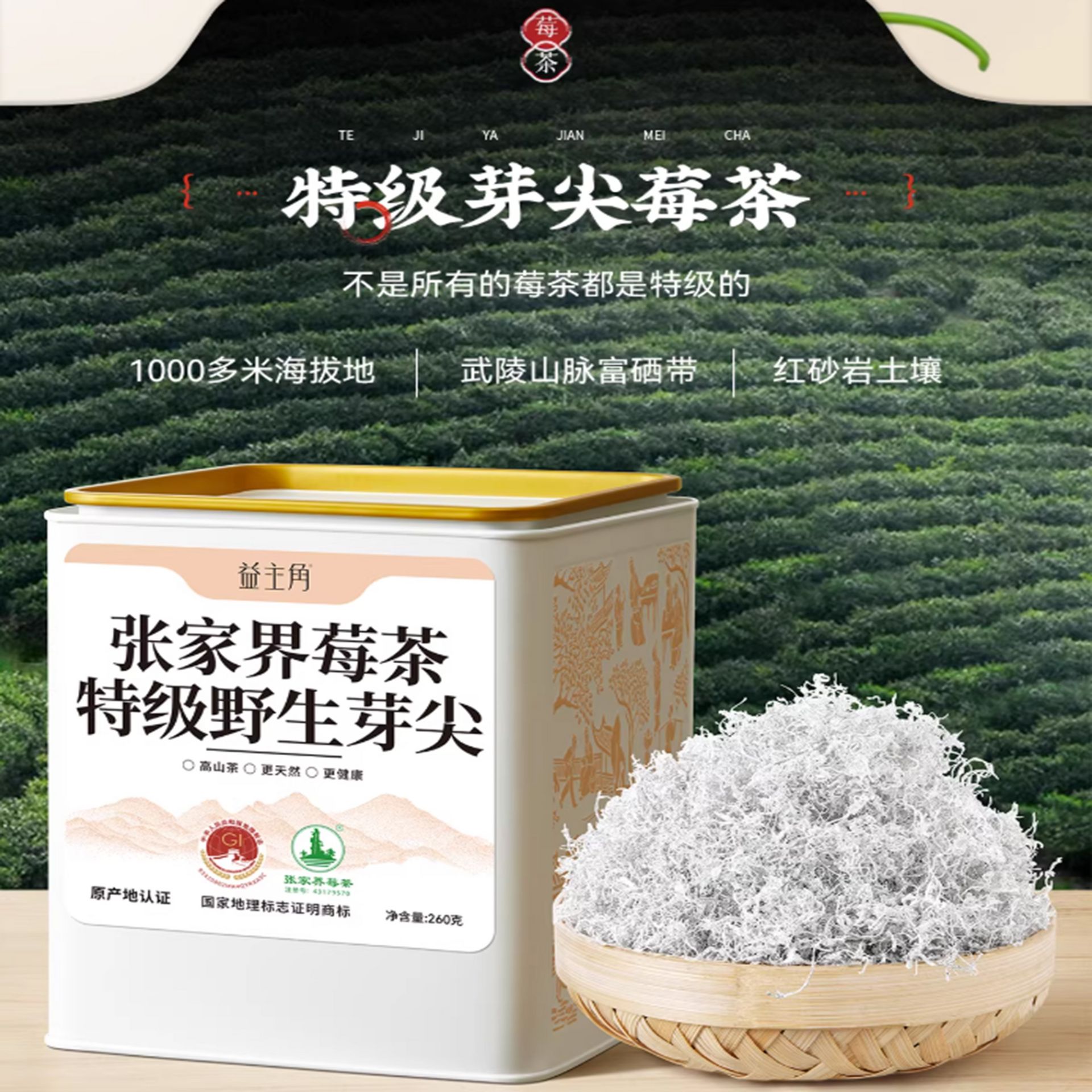 张家界特级野生芽尖莓茶260 克- Weee!