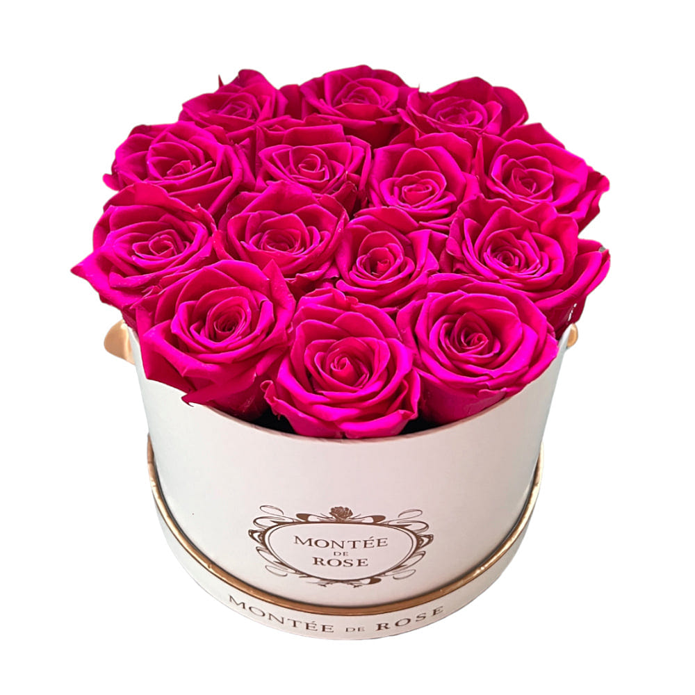 White Medium Round Fuchsia 1 each