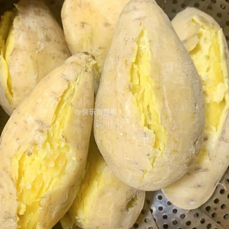 潮汕黄心板栗薯500g 香甜粉糯农家现挖