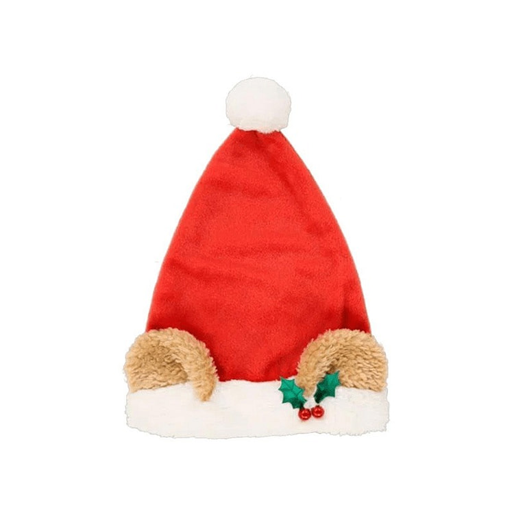 Tokyo Disneyland 2024 Christmas Series Duffy Family Duffy Santa Hat
