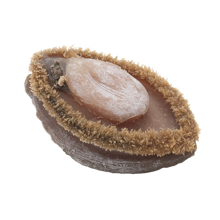 On Kee South Africa Dried Abalone (0.5catty 3-4pc) 300 g