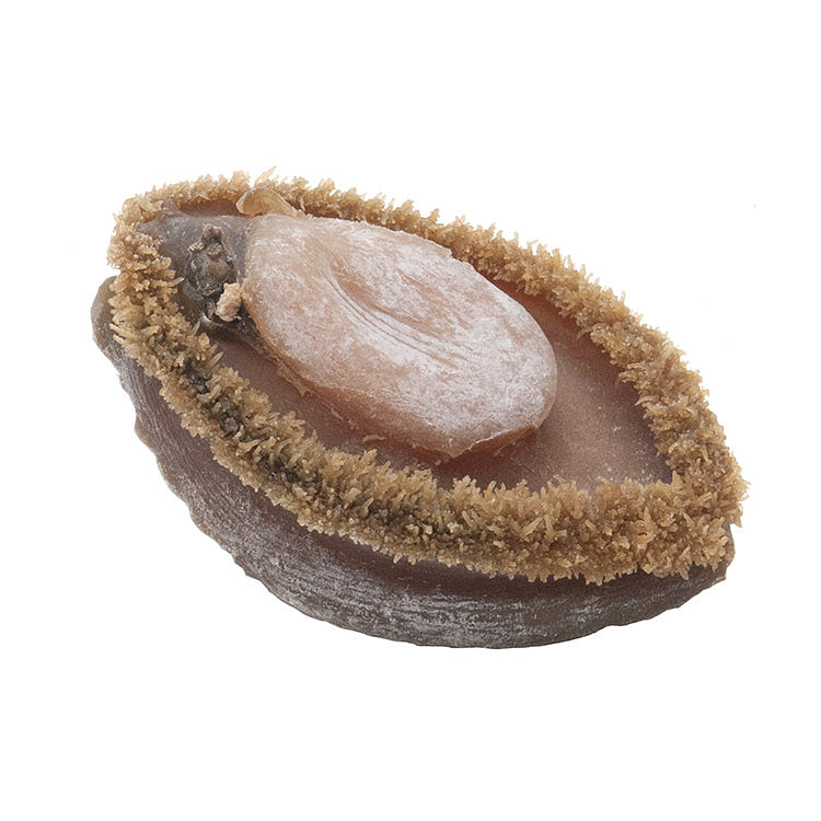 香港安記海味 特級生曬野生南非網鮑 每斤7-9頭 1斤(7-9pcs 600g)
