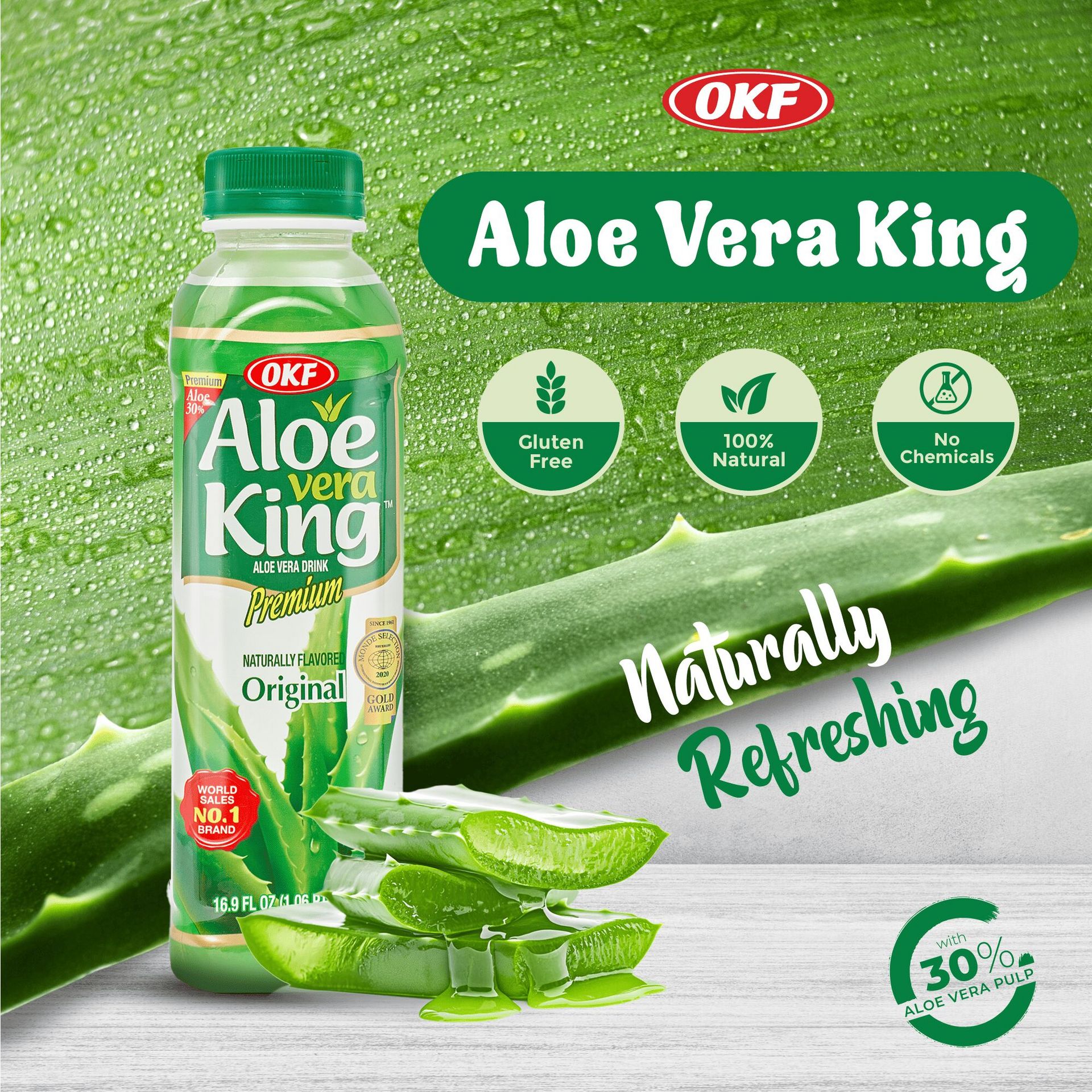 aloe vera pflanze fliegen Aloe Aborescens main image 0