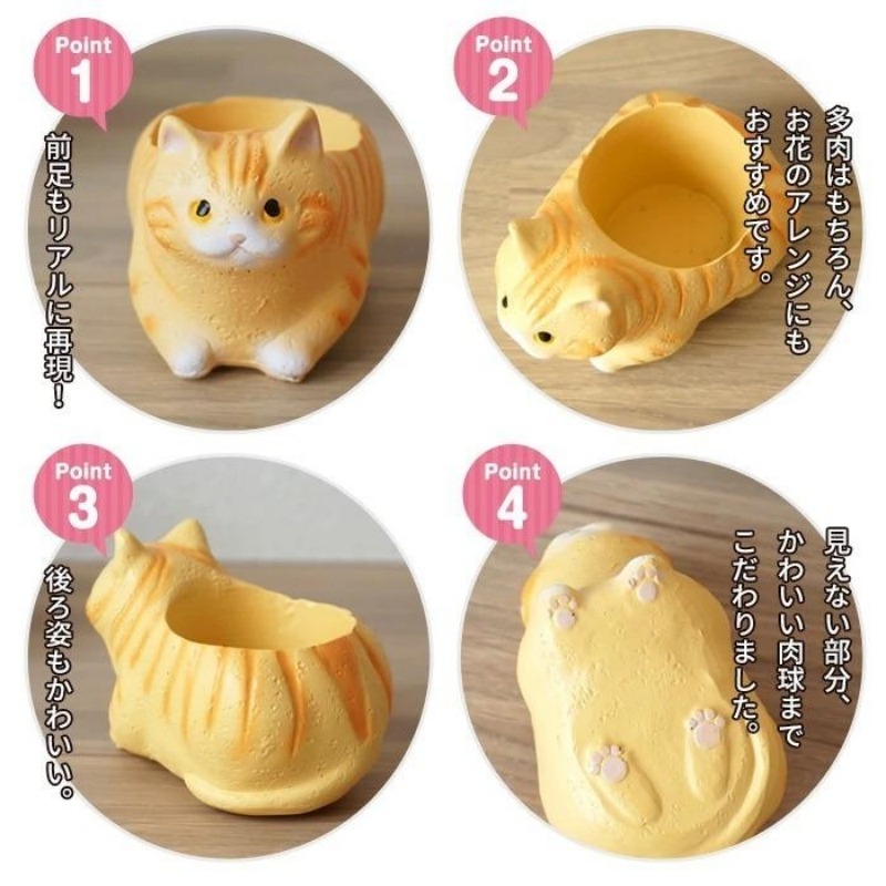 植木鉢 ミニ リトルレジンポット くつろぎ猫 マンチカン - Weee!