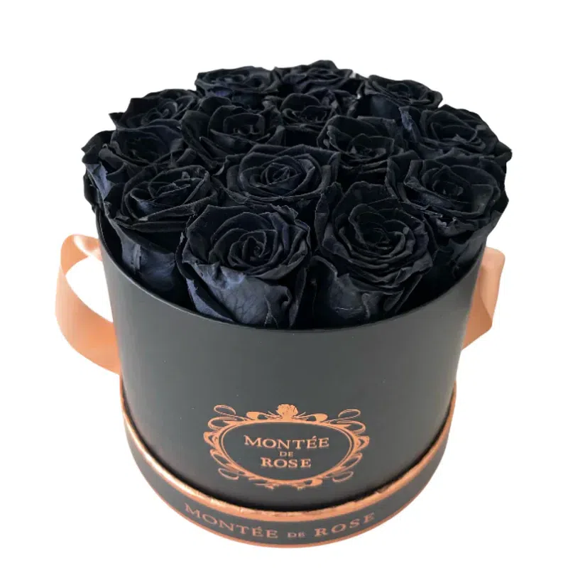 Black Medium Round Black 1 each