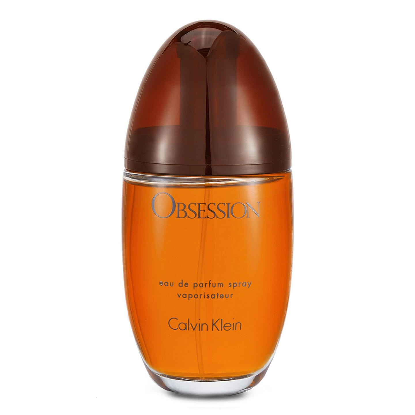 Calvin Klein Obsession Eau De Parfum Spray 100 ml