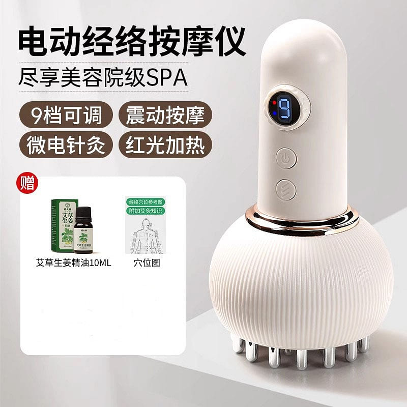 Nengyu Electric Meridian Brush 1pc 1 each