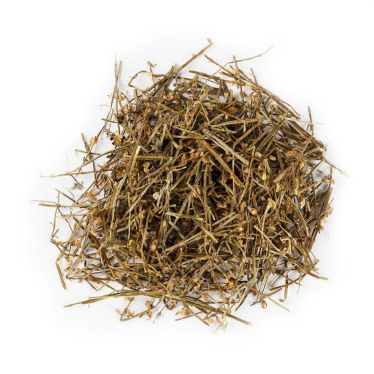 Barbed Skullcap Herb / Ban Zhi Lian (8oz) 1 each