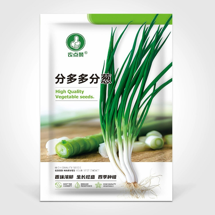 四季小香葱种子3200粒