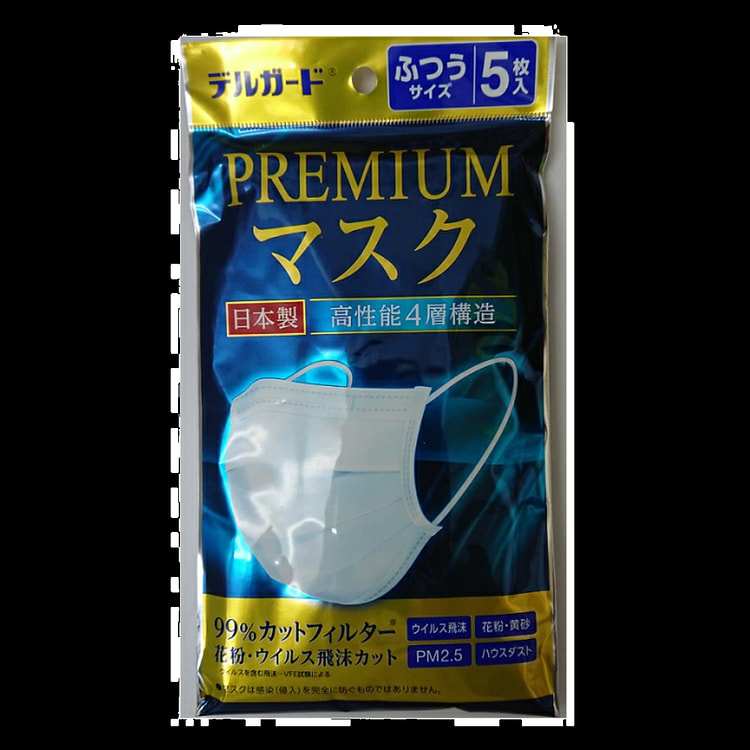 Delguard 一次性无纺布口罩（5 片装）