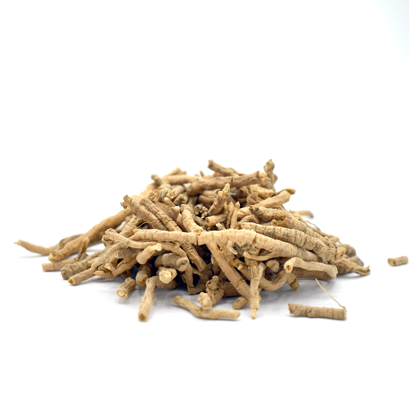 YUAN ZHI – Polygala Root lb 1 each