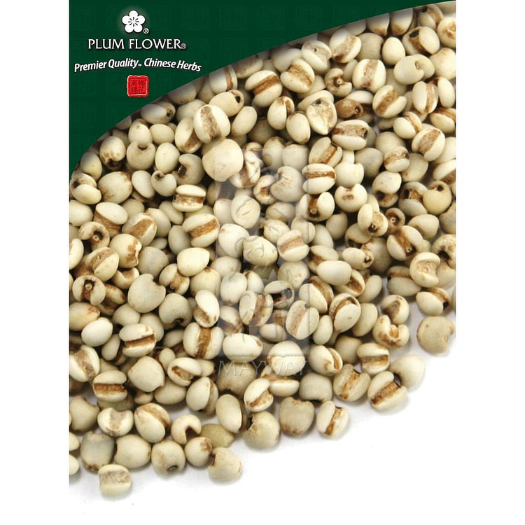Yi Yi Ren, unsulfured Coix lacryma jobi seed