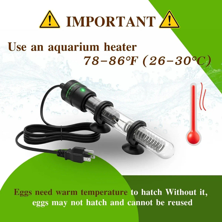 Moina Macrocopa Eggs Freshwater Live Fish Food 1 pack