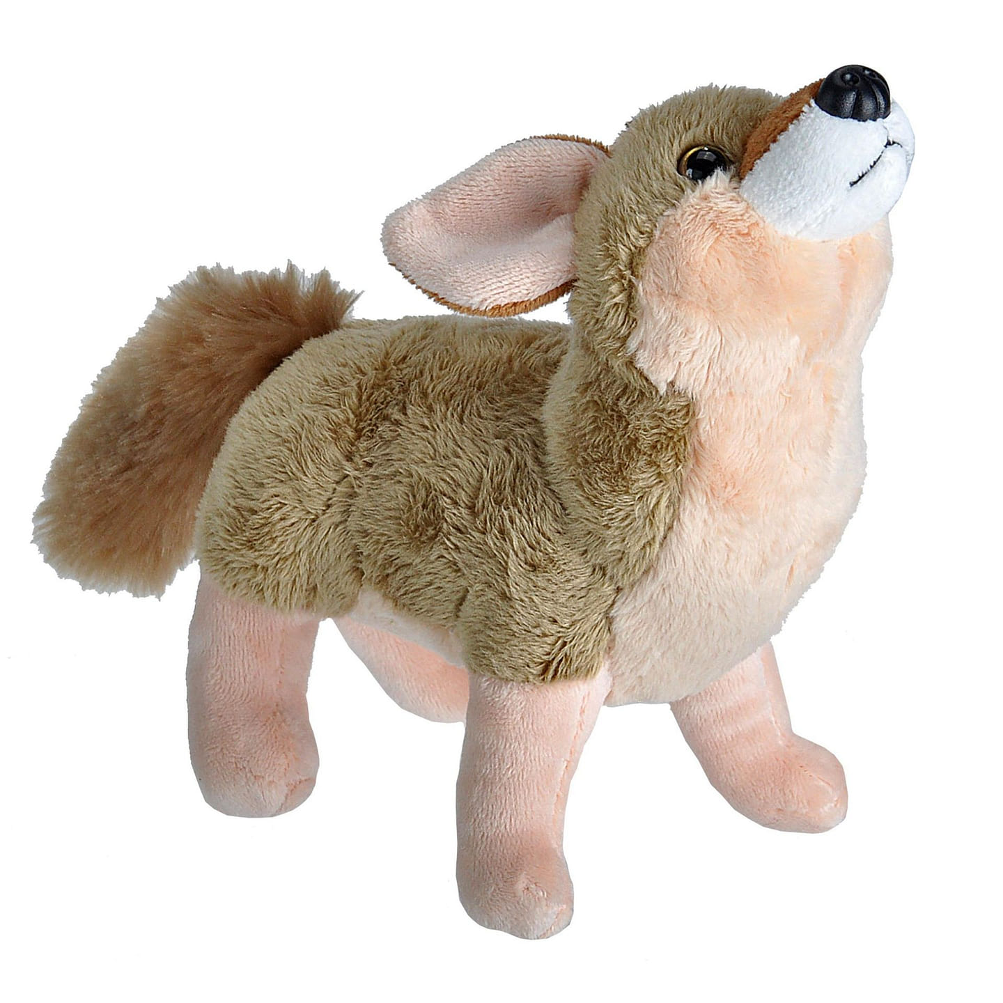 Wild Calls Coyote-8 Default 1 each