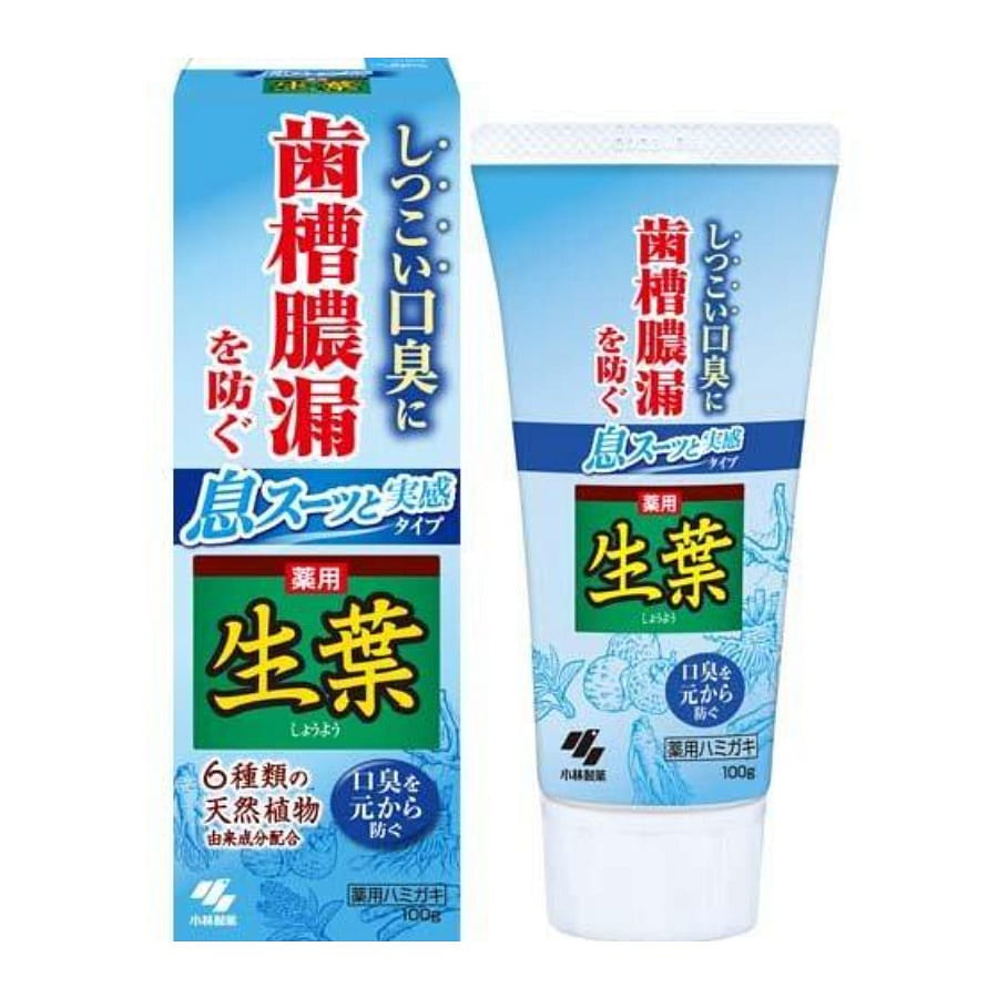 KOBAYASHI Fresh Leaves Toothpaste Breath And Feeling Type 100 그램