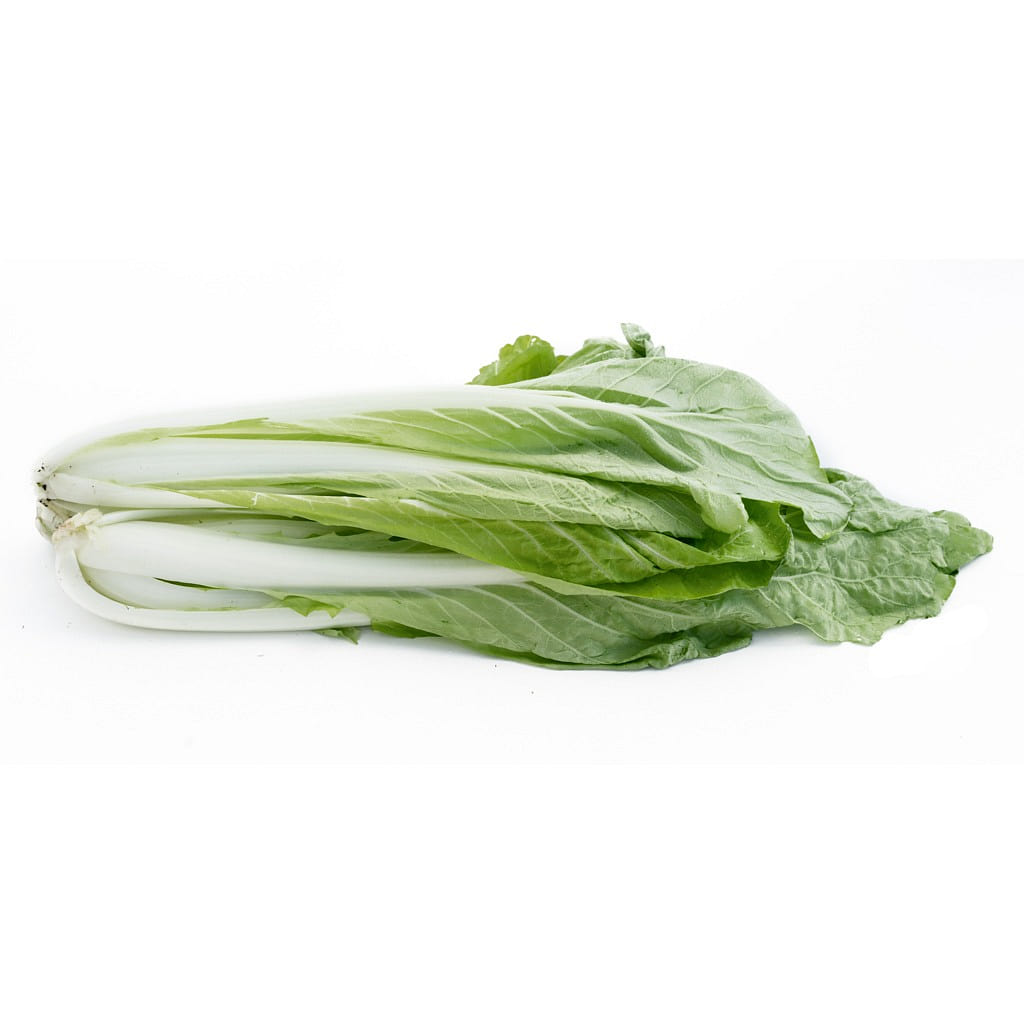 台湾嫩白菜 1.5 磅