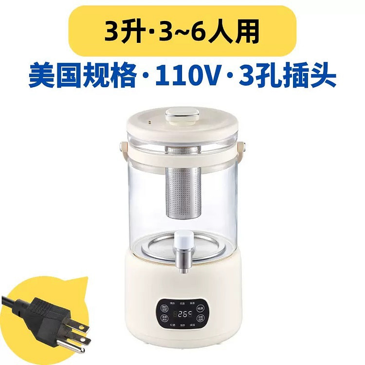 110V health kettle household 3L electric kettle 1 each