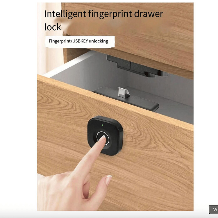 Fingerprint Smart Lock, Fingerprint Smart Drawer L 1 case