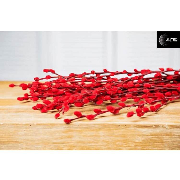 Pussy Willow l Nu Tam Xuan (Red, 28 inches) 1 lb