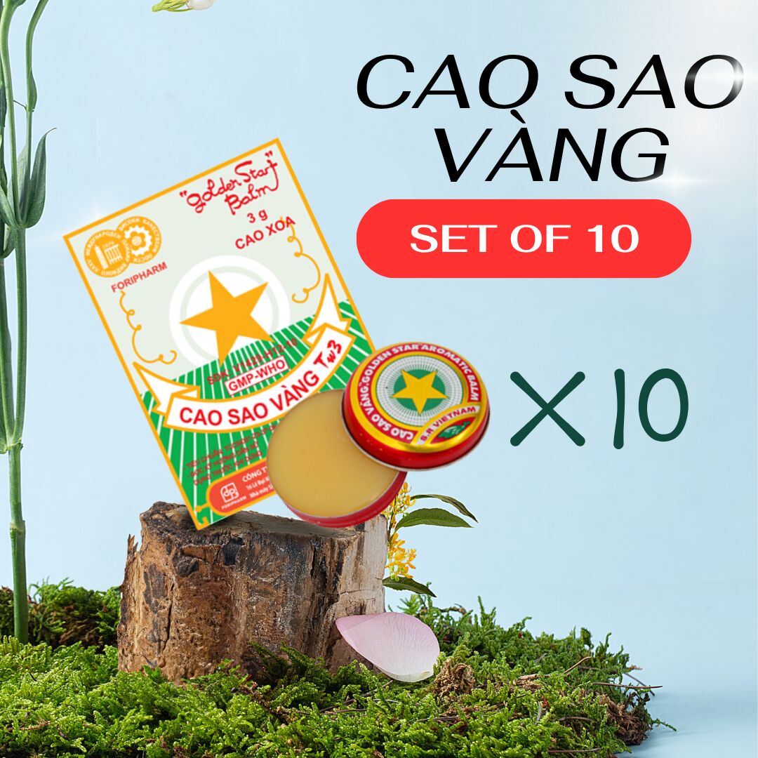 TEN-PIECE SET - Vietnam Golden Star Ointment 3 g