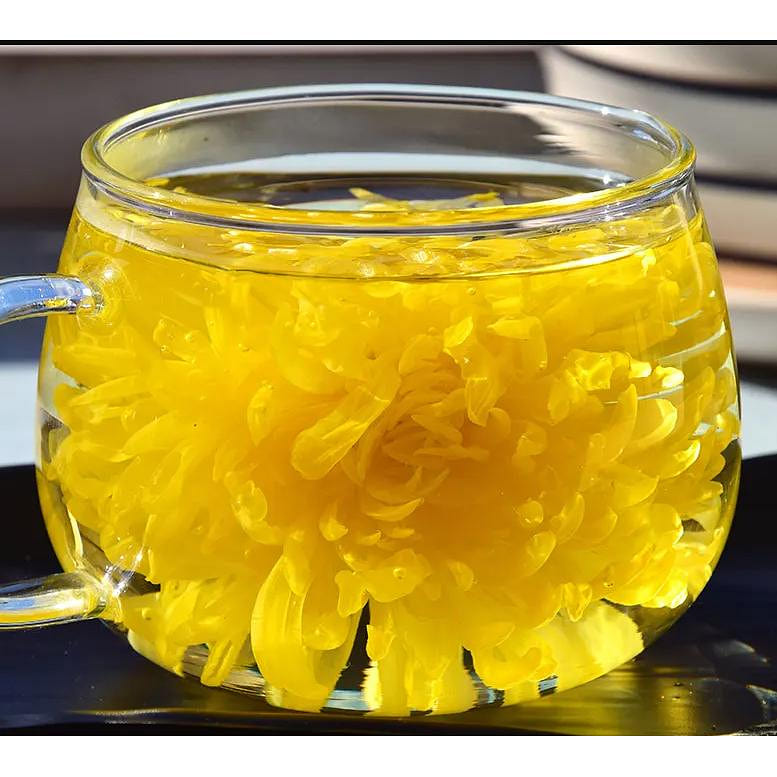 Jin Si Huang Ju Golden-yellow Chrysanthemum 20pc 20 개입
